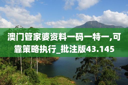 澳门管家婆资料一码一特一,可靠策略执行_批注版43.145