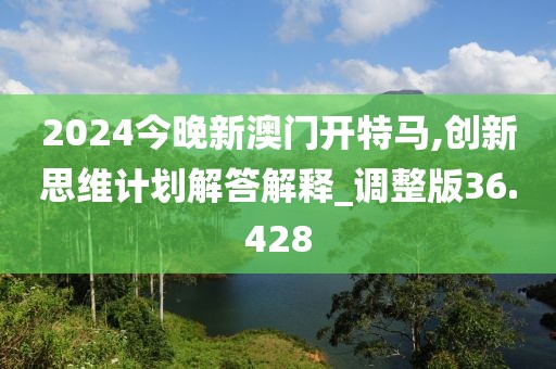 2024今晚新澳门开特马,创新思维计划解答解释_调整版36.428