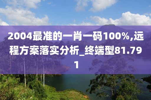 2004最准的一肖一码100%,远程方案落实分析_终端型81.791