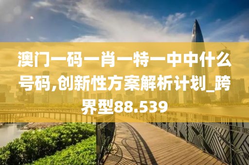 澳门一码一肖一特一中中什么号码,创新性方案解析计划_跨界型88.539