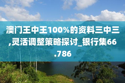 澳门王中王100%的资料三中三,灵活调整策略探讨_银行集66.786