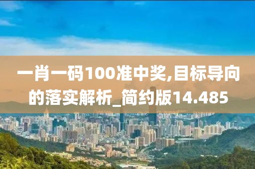 一肖一码100准中奖,目标导向的落实解析_简约版14.485