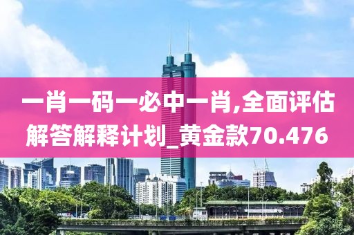 一肖一码一必中一肖,全面评估解答解释计划_黄金款70.476