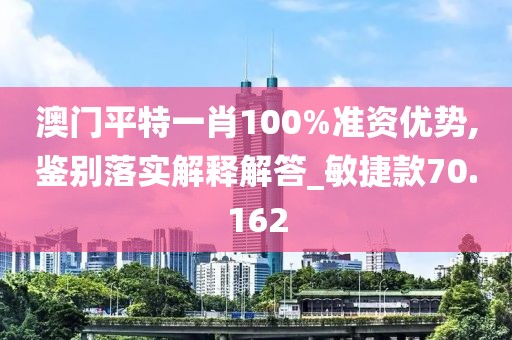 澳门平特一肖100%准资优势,鉴别落实解释解答_敏捷款70.162