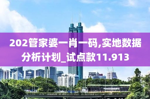 202管家婆一肖一码,实地数据分析计划_试点款11.913