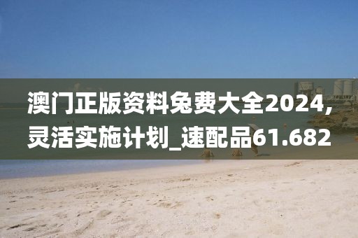 澳门正版资料兔费大全2024,灵活实施计划_速配品61.682