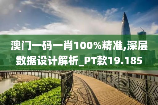 澳门一码一肖100%精准,深层数据设计解析_PT款19.185