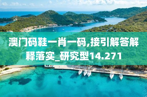 澳门码鞋一肖一码,接引解答解释落实_研究型14.271