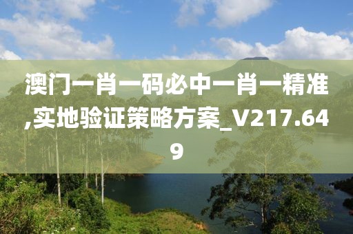 澳门一肖一码必中一肖一精准,实地验证策略方案_V217.649