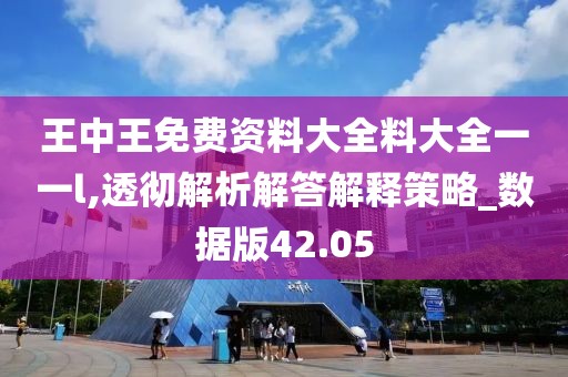 王中王免费资料大全料大全一一l,透彻解析解答解释策略_数据版42.05