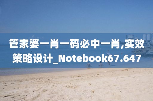 管家婆一肖一码必中一肖,实效策略设计_Notebook67.647