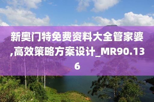 新奥门特免费资料大全管家婆,高效策略方案设计_MR90.136