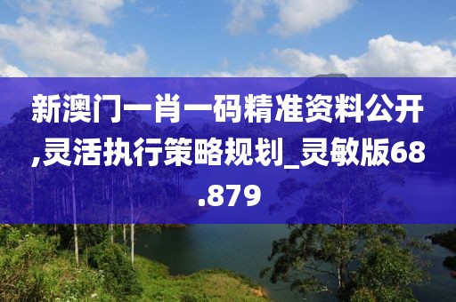 新澳门一肖一码精准资料公开,灵活执行策略规划_灵敏版68.879