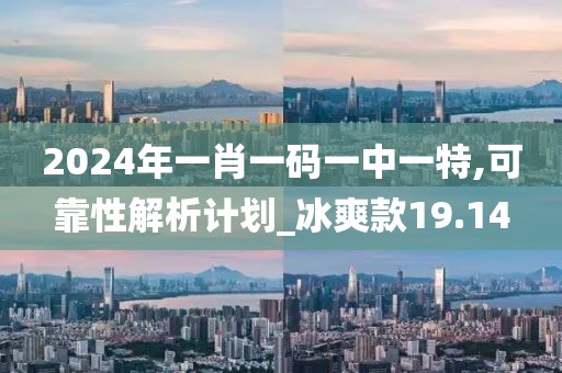 2024年一肖一码一中一特,可靠性解析计划_冰爽款19.14