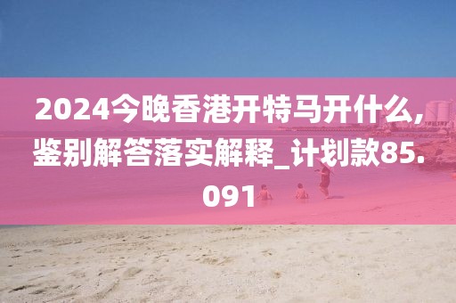 2024今晚香港开特马开什么,鉴别解答落实解释_计划款85.091