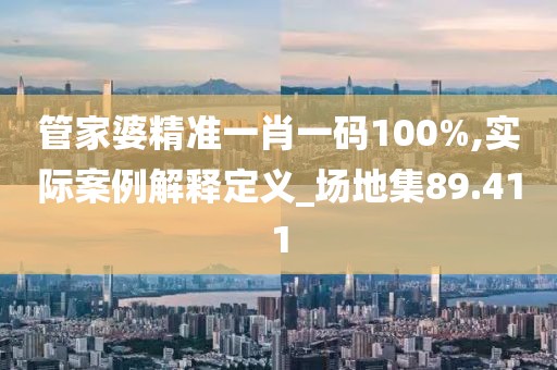 管家婆精准一肖一码100%,实际案例解释定义_场地集89.411