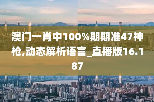 澳门一肖中100%期期准47神枪,动态解析语言_直播版16.187