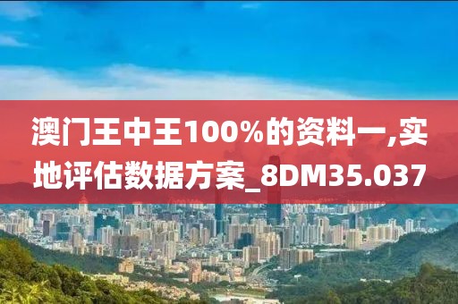 澳门王中王100%的资料一,实地评估数据方案_8DM35.037