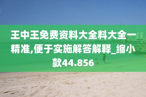 王中王免费资料大全料大全一精准,便于实施解答解释_缩小款44.856