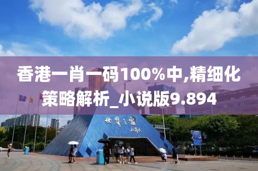 香港一肖一码100%中,精细化策略解析_小说版9.894