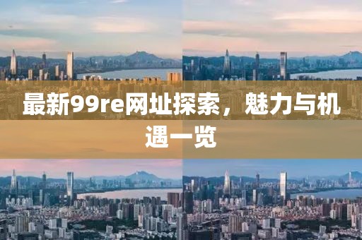 最新99re网址探索，魅力与机遇一览