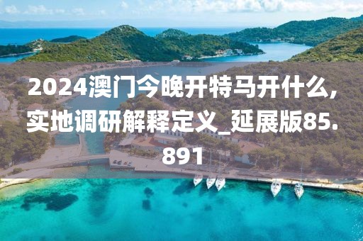 2024澳门今晚开特马开什么,实地调研解释定义_延展版85.891