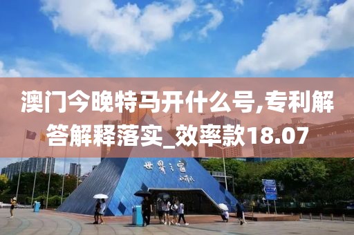 澳门今晚特马开什么号,专利解答解释落实_效率款18.07