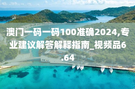 澳门一码一码100准确2024,专业建议解答解释指南_视频品6.64