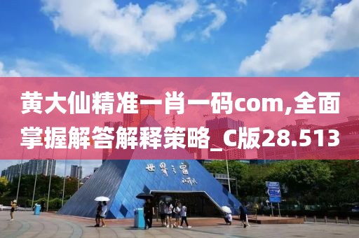 黄大仙精准一肖一码com,全面掌握解答解释策略_C版28.513