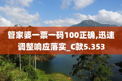 管家婆一票一码100正确,迅速调整响应落实_C款5.353