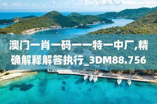 澳门一肖一码一一特一中厂,精确解释解答执行_3DM88.756