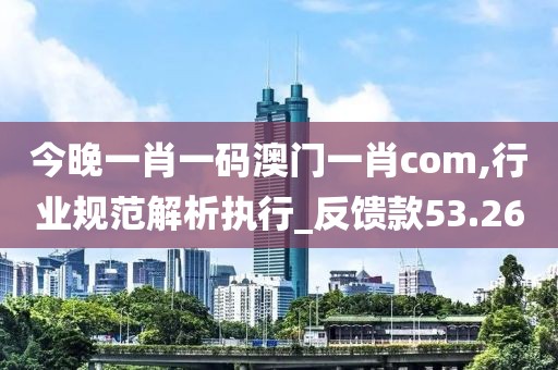 今晚一肖一码澳门一肖com,行业规范解析执行_反馈款53.26