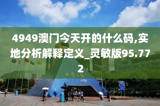 4949澳门今天开的什么码,实地分析解释定义_灵敏版95.772