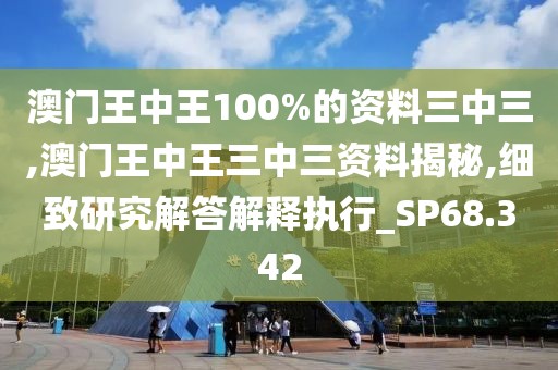 澳门王中王100%的资料三中三,澳门王中王三中三资料揭秘,细致研究解答解释执行_SP68.342