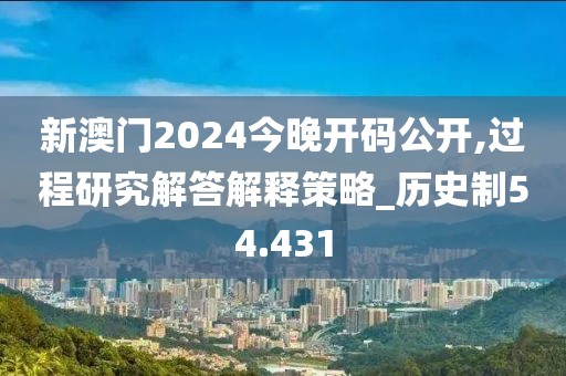 新澳门2024今晚开码公开,过程研究解答解释策略_历史制54.431