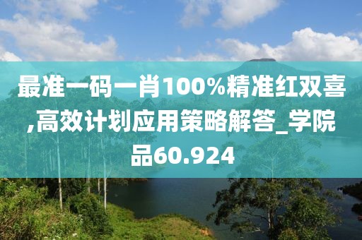 最准一码一肖100%精准红双喜,高效计划应用策略解答_学院品60.924