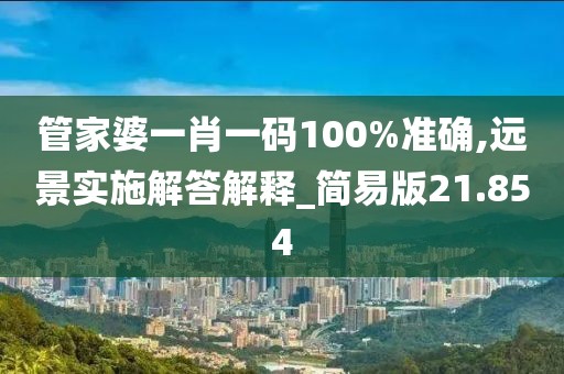 管家婆一肖一码100%准确,远景实施解答解释_简易版21.854