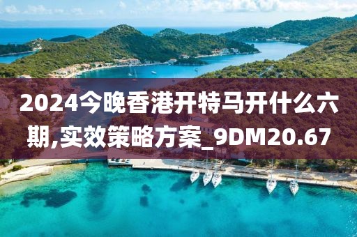 2024今晚香港开特马开什么六期,实效策略方案_9DM20.67