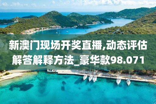 新澳门现场开奖直播,动态评估解答解释方法_豪华款98.071