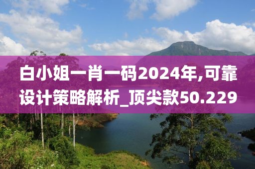 白小姐一肖一码2024年,可靠设计策略解析_顶尖款50.229