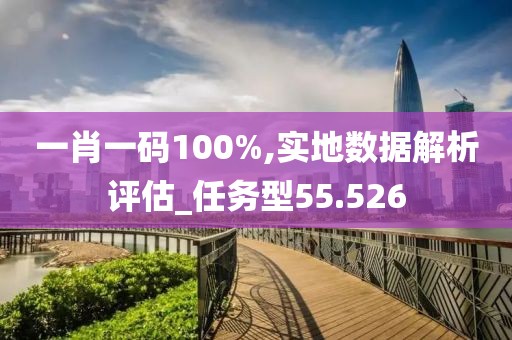 一肖一码100%,实地数据解析评估_任务型55.526