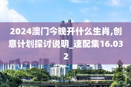 2024澳门今晚开什么生肖,创意计划探讨说明_速配集16.032