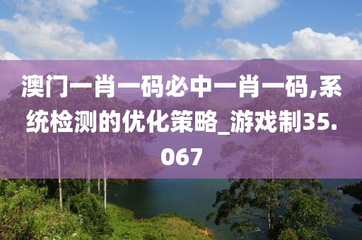 澳门一肖一码必中一肖一码,系统检测的优化策略_游戏制35.067