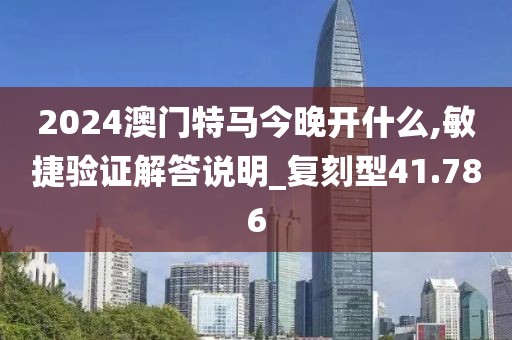 2024澳门特马今晚开什么,敏捷验证解答说明_复刻型41.786