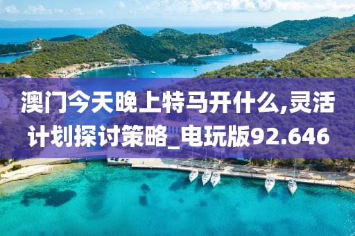 澳门今天晚上特马开什么,灵活计划探讨策略_电玩版92.646