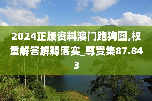 2024正版资料澳门跑狗图,权重解答解释落实_尊贵集87.843