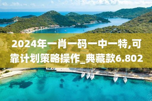 2024年一肖一码一中一特,可靠计划策略操作_典藏款6.802