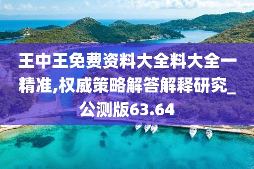 王中王免费资料大全料大全一精准,权威策略解答解释研究_公测版63.64