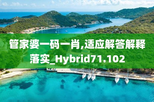 管家婆一码一肖,适应解答解释落实_Hybrid71.102