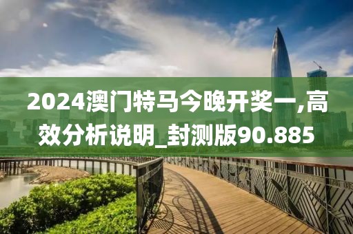 2024澳门特马今晚开奖一,高效分析说明_封测版90.885